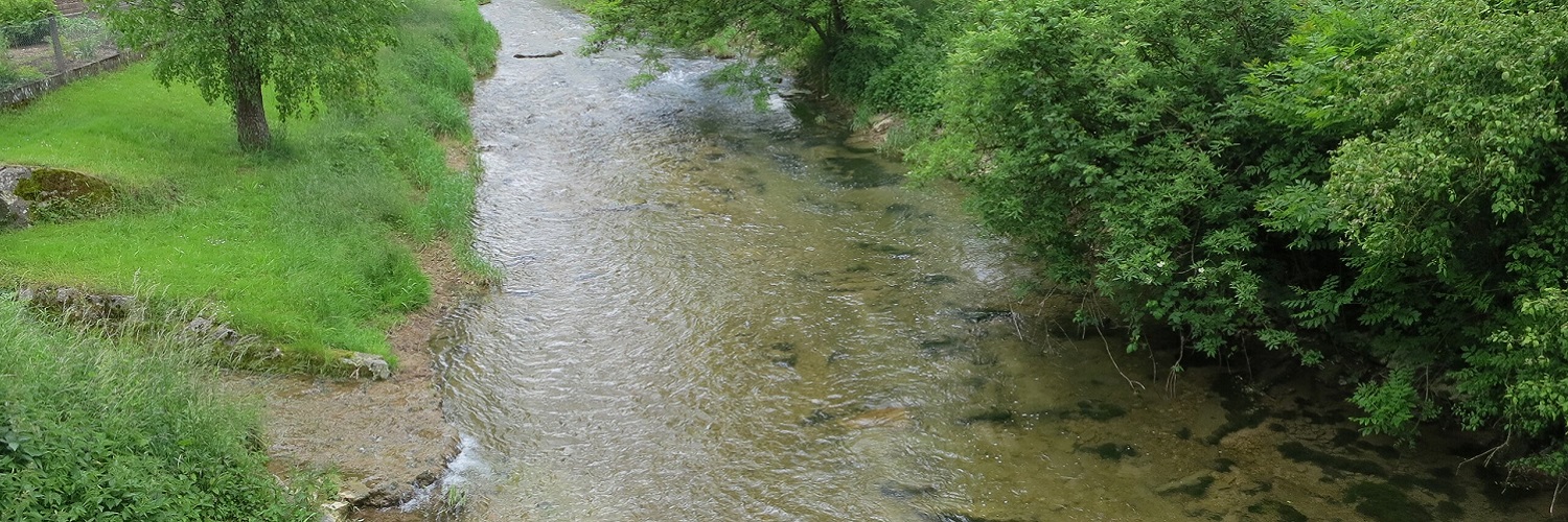 Kanton Aargau - Termine, Angebote, Aktionen und mehr